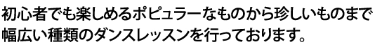 初心者でも楽しめるポピュラーなものから珍しいものまで幅広い種類のダンスレッスンを行っております。